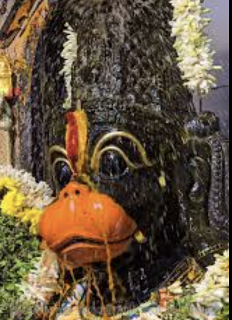 Hanuman Abhishekam, Chalisa, Vadamala and Archana